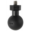 RAP-B-379-252025