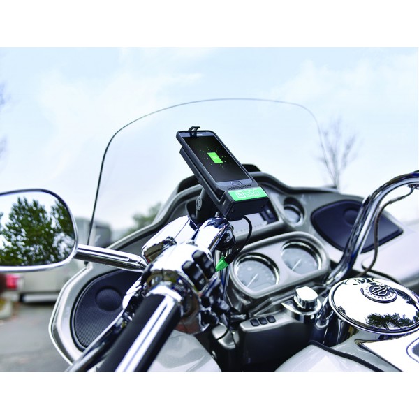 RAM-B-149Z-GDS-DOCK-V1U