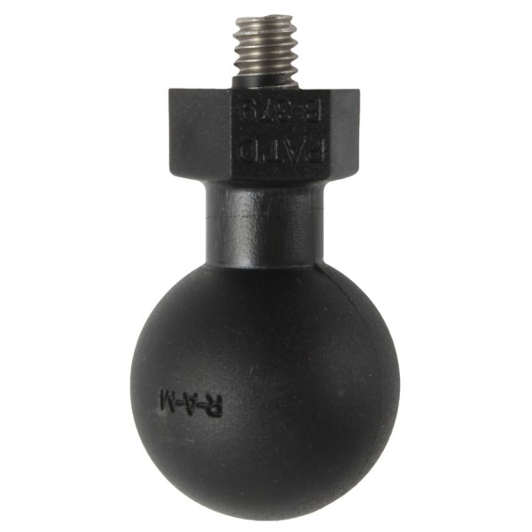 RAP-B-379-252025